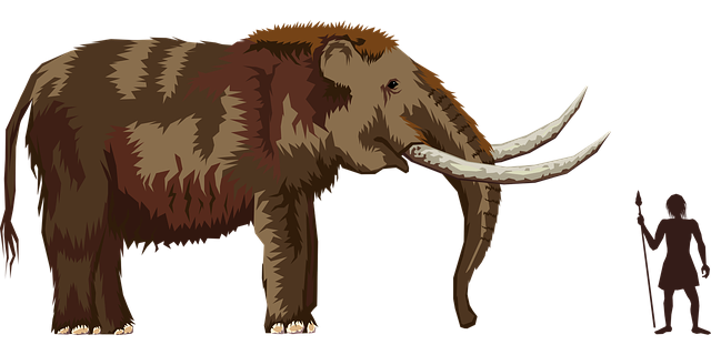 lovec mamuta
