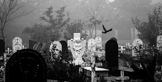 mlha na hřbitově