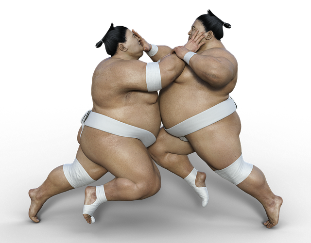 zápasníci sumo